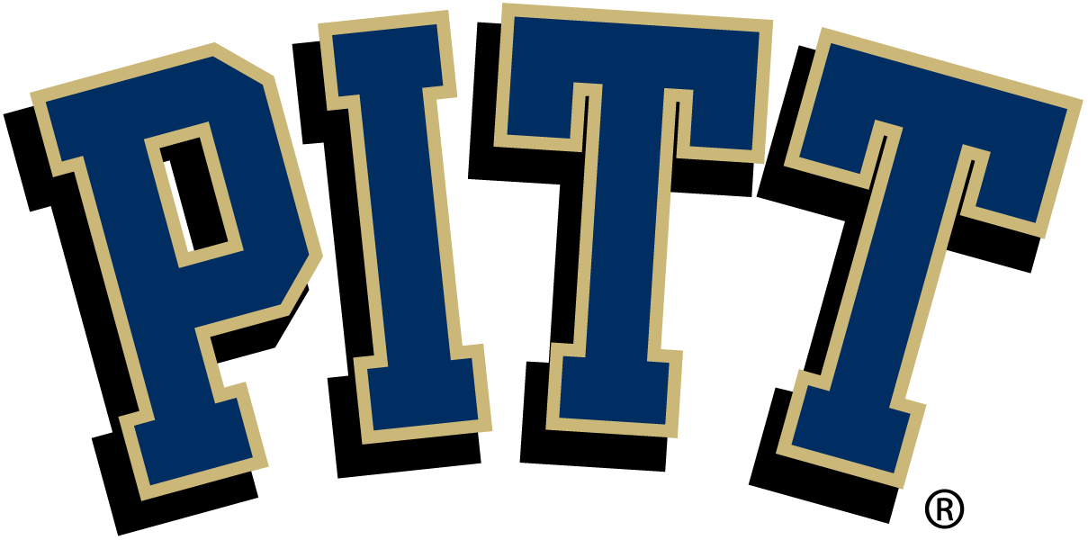 Pittsburgh Panthers 2005-2015 Primary Logo iron on paper